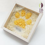 Thumbnail of post image 061