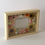 Thumbnail of post image 167