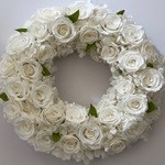 Thumbnail of post image 056