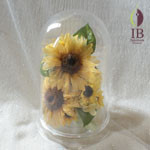 Thumbnail of post image 084