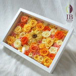 Thumbnail of post image 074