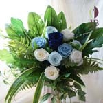 Thumbnail of post image 154