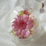 Thumbnail of post image 038