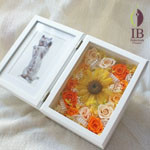 Thumbnail of post image 185