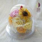 Thumbnail of post image 182