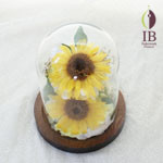 Thumbnail of post image 111