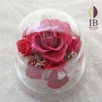 Thumbnail of post image 075