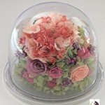 Thumbnail of post image 117