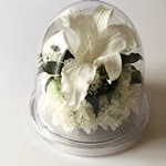 Thumbnail of post image 164