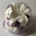 Thumbnail of post image 071