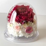 Thumbnail of post image 153