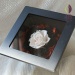 Thumbnail of post image 133