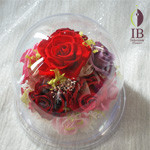 Thumbnail of post image 014