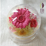 Thumbnail of post image 037