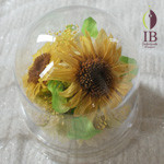 Thumbnail of post image 059