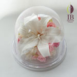 Thumbnail of post image 069