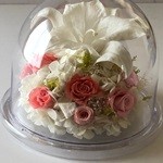 Thumbnail of post image 053