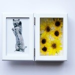 Thumbnail of post image 139