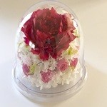 Thumbnail of post image 169