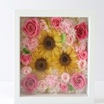 Thumbnail of post image 051