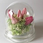 Thumbnail of post image 076