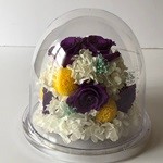 Thumbnail of post image 124