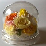 Thumbnail of post image 057