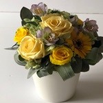 Thumbnail of post image 070