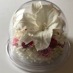 Thumbnail of post image 120