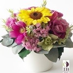 Thumbnail of post image 119