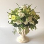 Thumbnail of post image 010