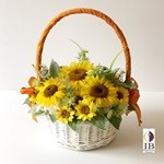 Thumbnail of post image 120