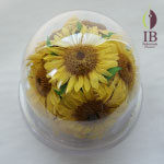 Thumbnail of post image 150