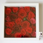 Thumbnail of post image 161