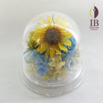 Thumbnail of post image 142