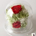 Thumbnail of post image 079