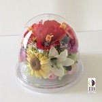 Thumbnail of post image 040