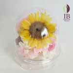 Thumbnail of post image 031