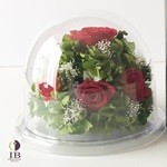 Thumbnail of post image 036