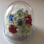 Thumbnail of post image 006