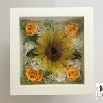 Thumbnail of post image 085