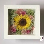 Thumbnail of post image 112