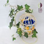 Thumbnail of post image 062