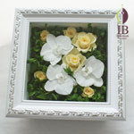 Thumbnail of post image 165