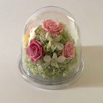 Thumbnail of post image 030