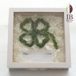 Thumbnail of post image 117