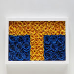 Thumbnail of post image 179