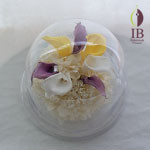 Thumbnail of post image 122