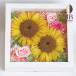 Thumbnail of post image 117