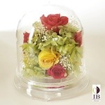 Thumbnail of post image 015